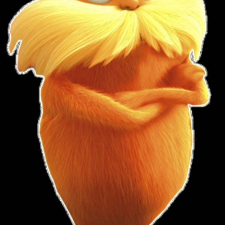 Foto de perfil de Ariel