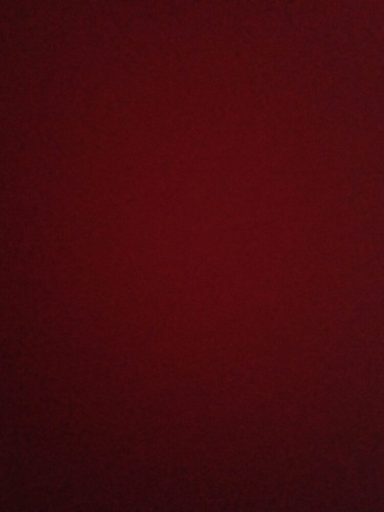 Foto de perfil de Tobias