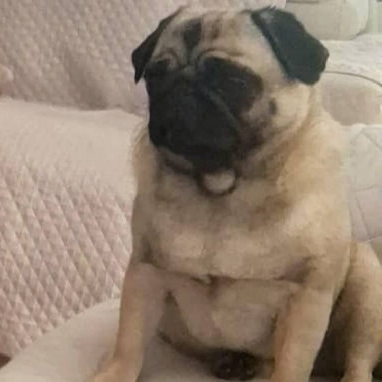 Foto de perfil de María Eugenia