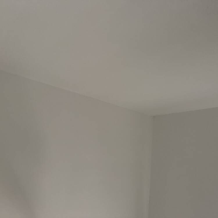 Foto de perfil de Khan