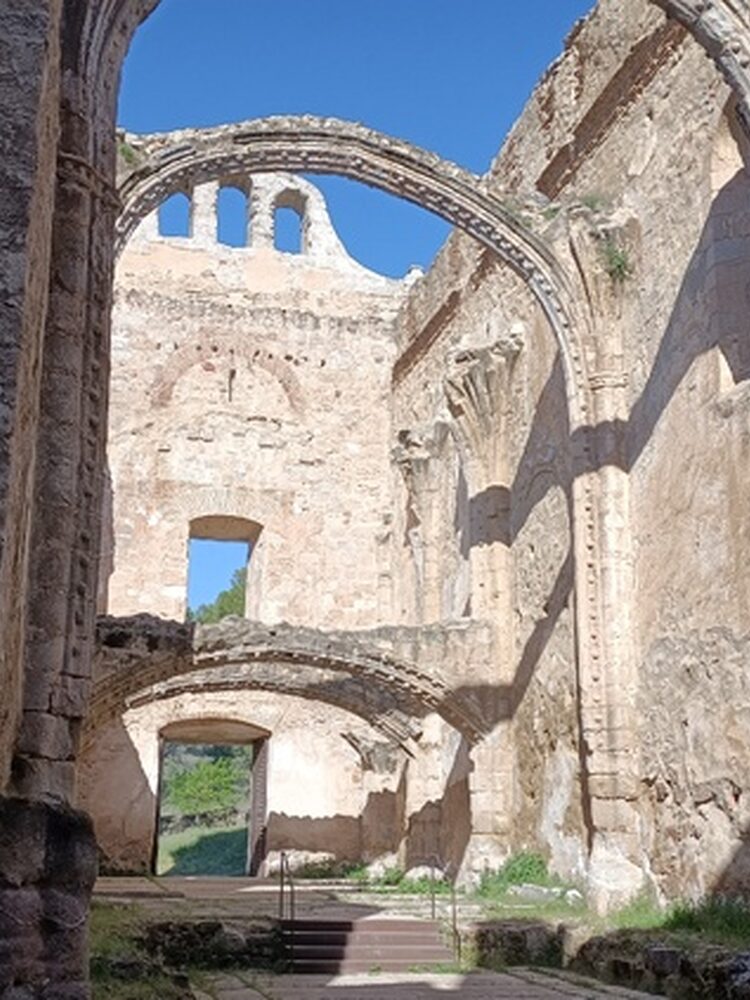 Foto de perfil de Marco