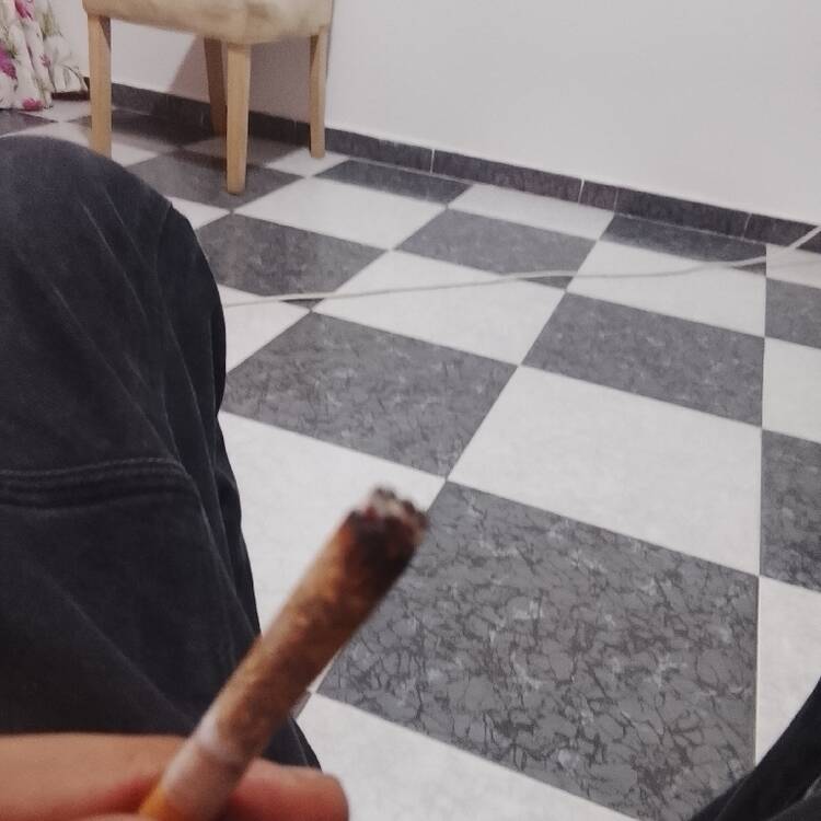 Foto de perfil de El Zizo