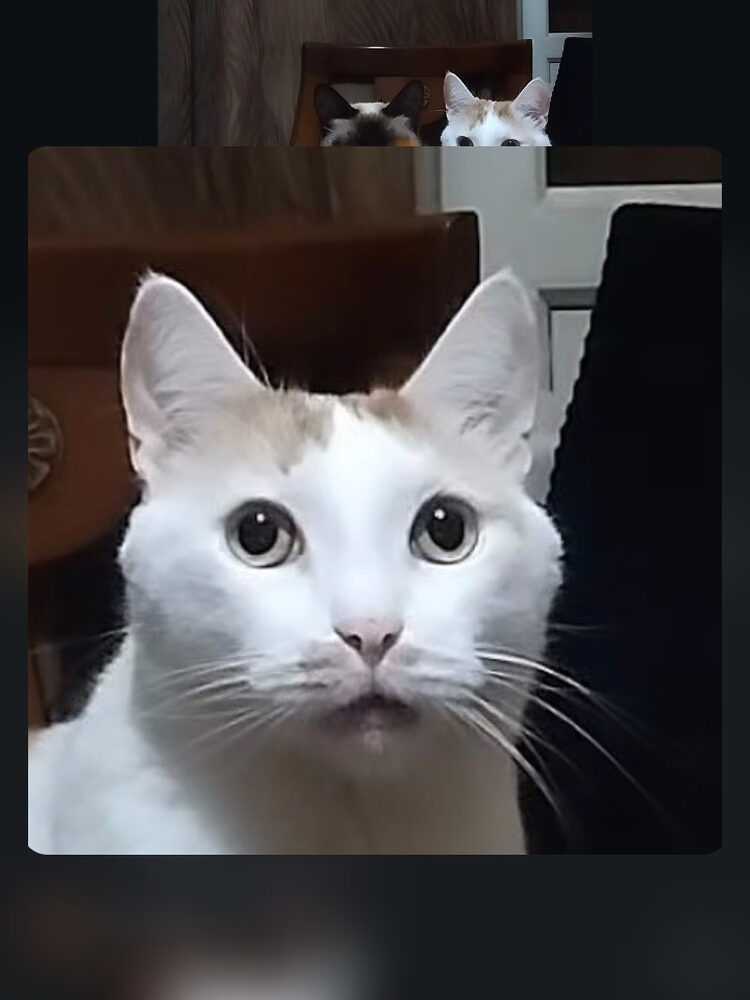 Foto de perfil de Micro man