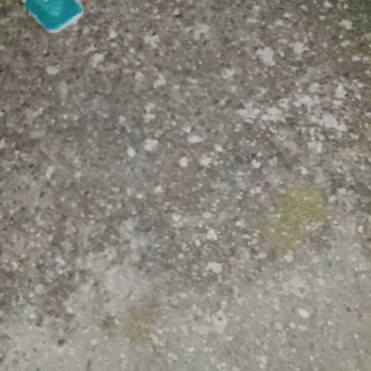 Foto de perfil de Ángel