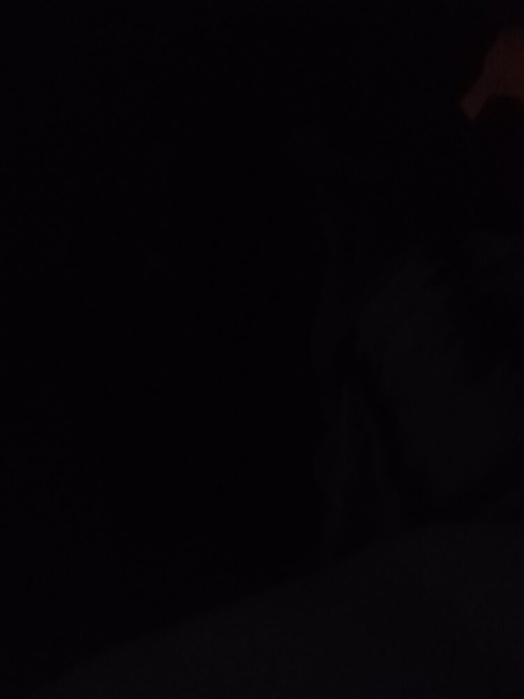 Foto de perfil de Ayer