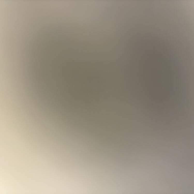 Foto de perfil de Abril