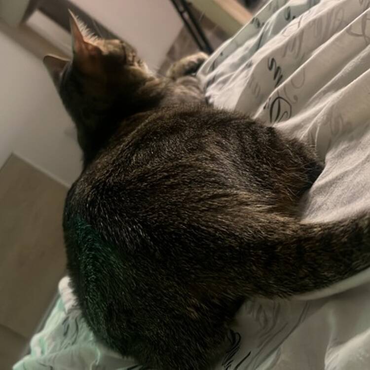Foto de perfil de Elena