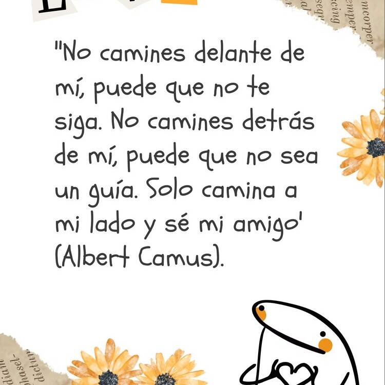 Foto de perfil de CALIMERA