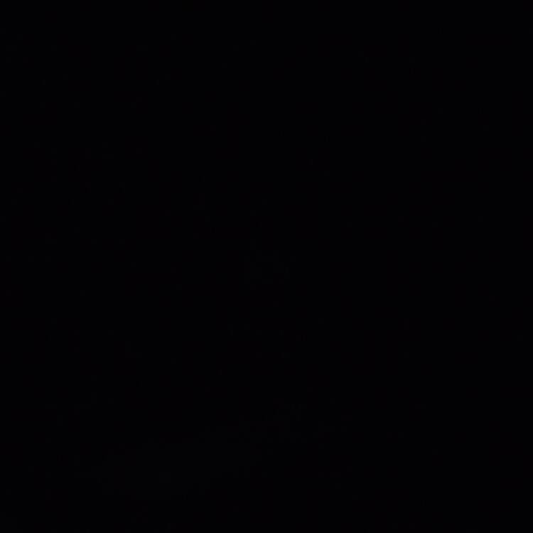 Foto de perfil de Pedro