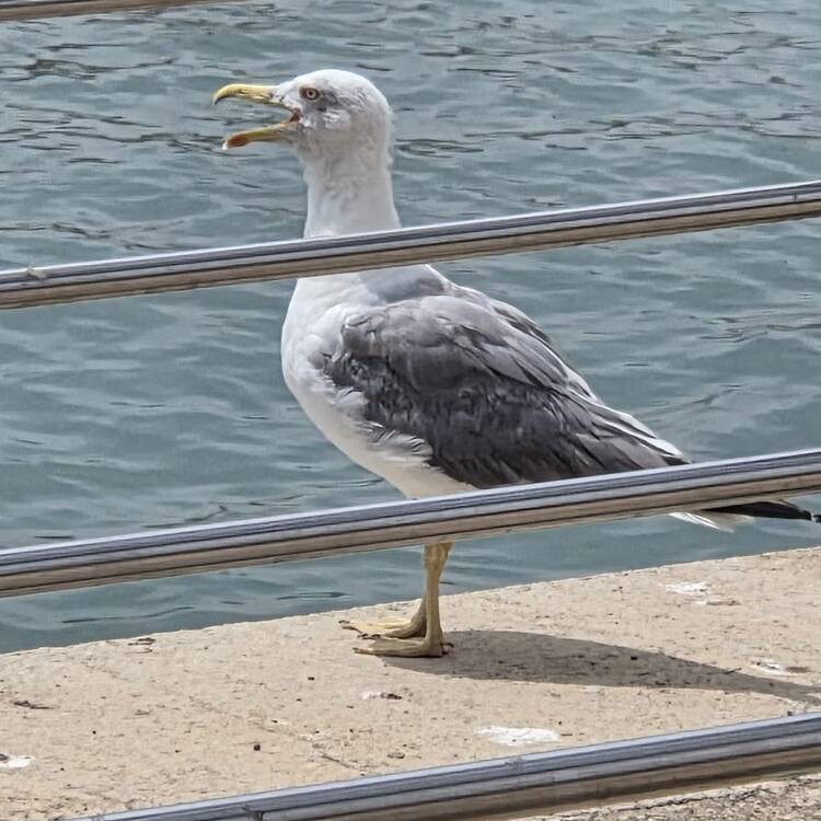 Foto de perfil de Eva