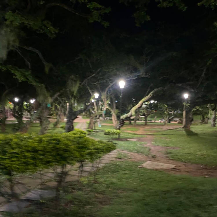 Foto de perfil de Tadeo