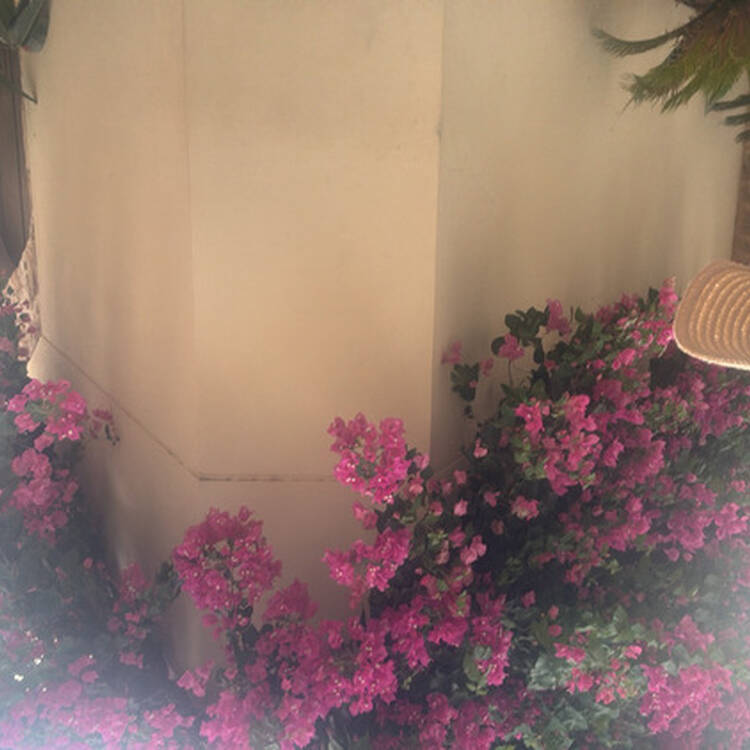 Foto de perfil de Ariadna