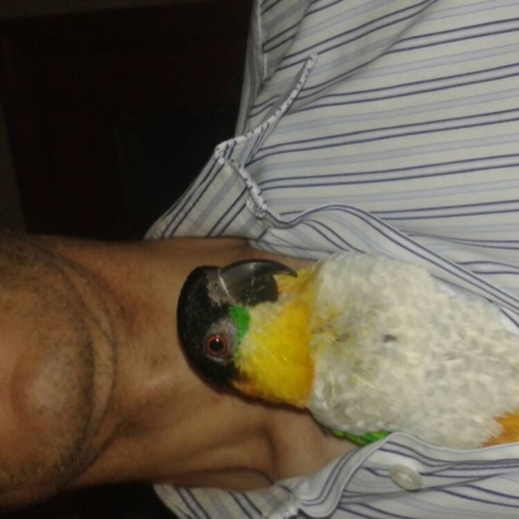 Foto de perfil
