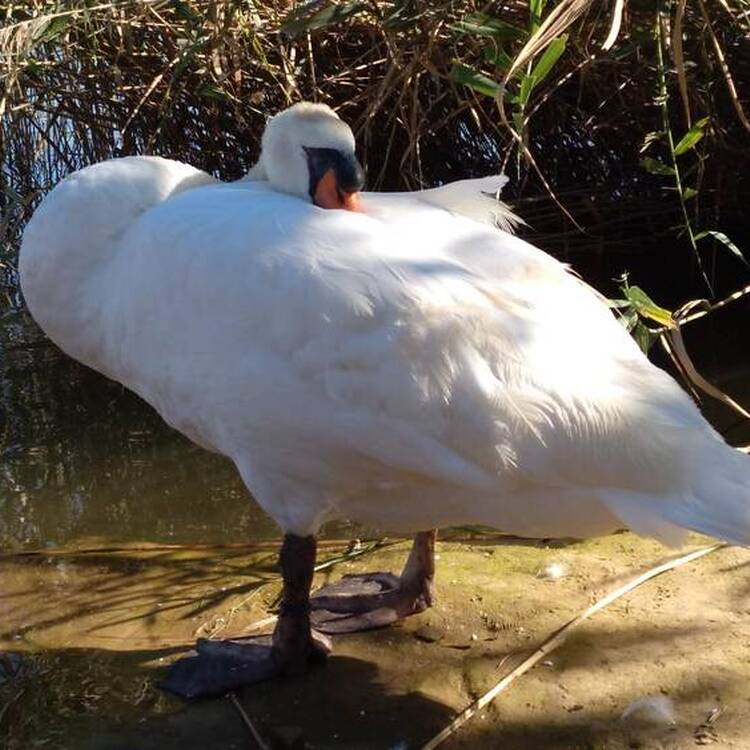 Foto de perfil de Maria
