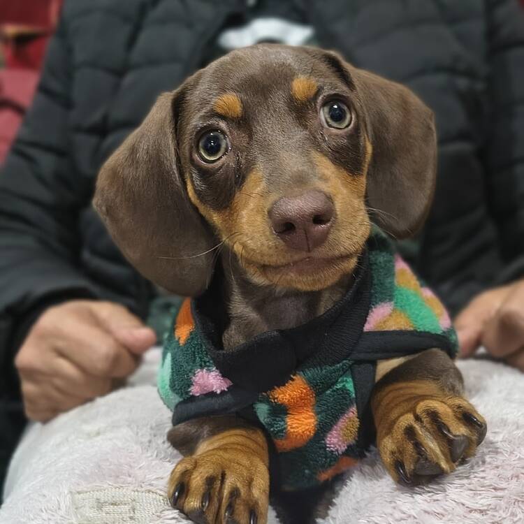 Foto de perfil de David