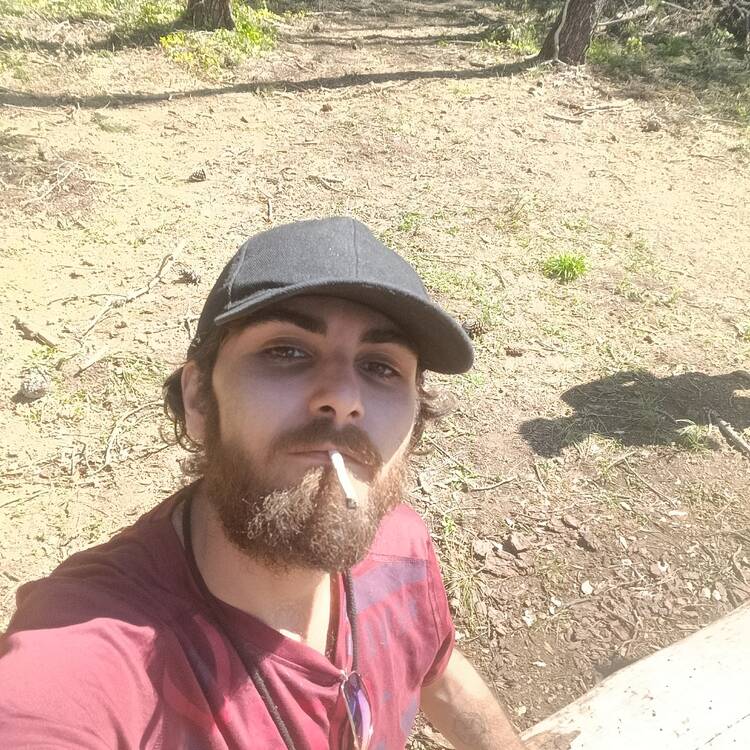 Foto de perfil de Dan