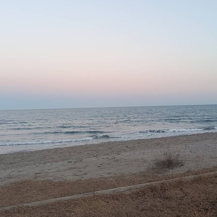 Foto de perfil de Marga