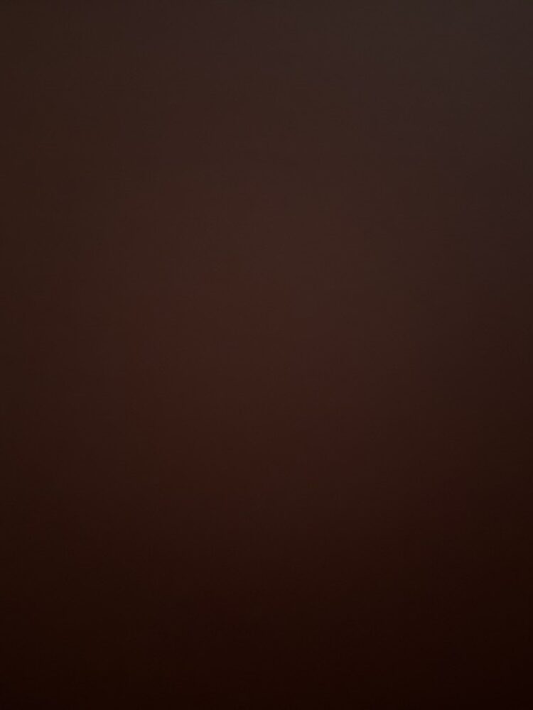 Foto de perfil de Vanesa
