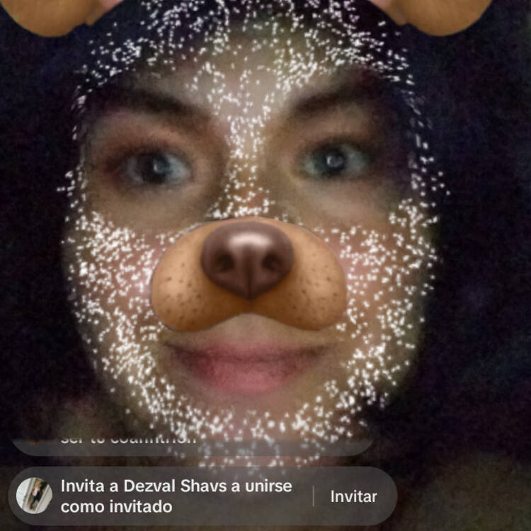 Foto de perfil