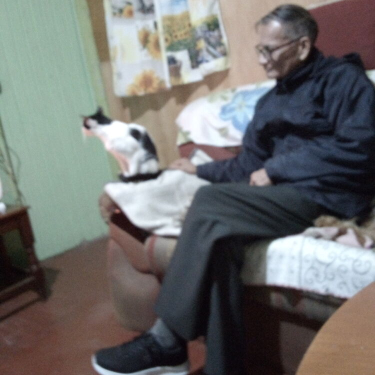 Foto de perfil de victor
