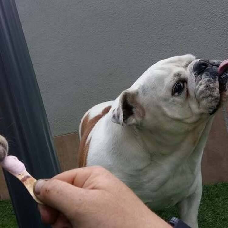 Foto de perfil de Eduardo