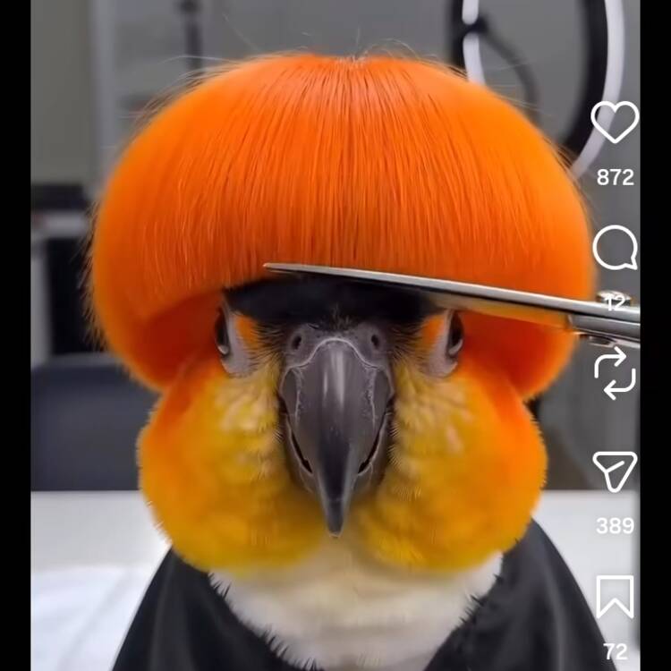 Foto de perfil