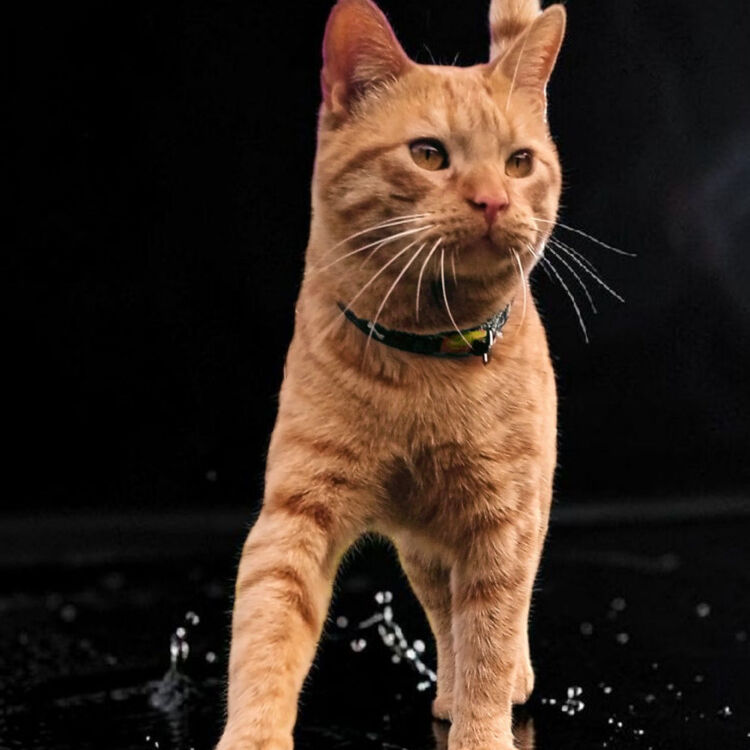 Foto de perfil de Héctor