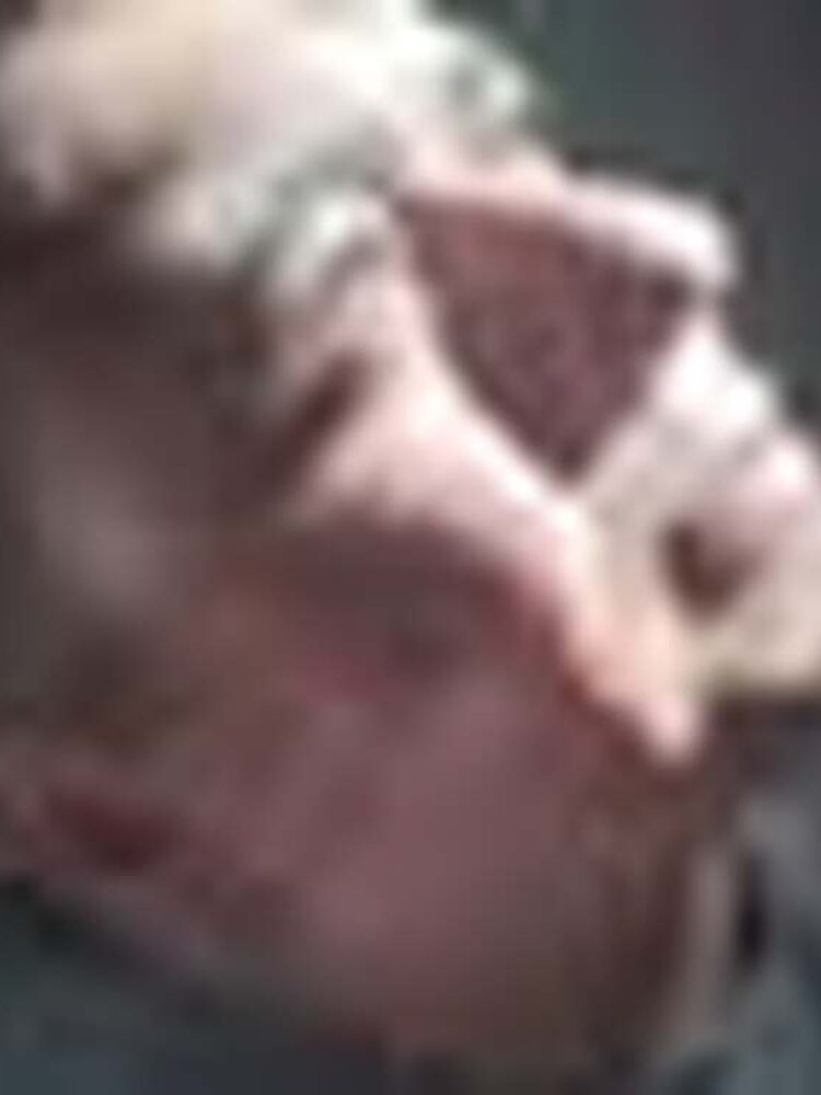 Foto de perfil de Rodrigo