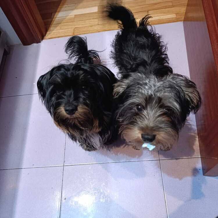 Foto de perfil