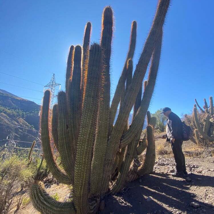 Foto de perfil de Claus